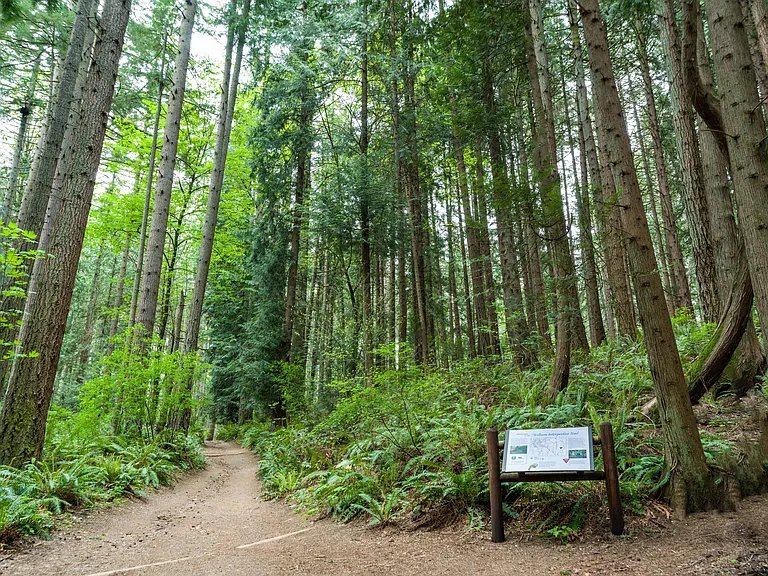Moments from Bridle Trails State Park - offering quiet paths, tall evergreens, and easy access to outdoor recreation.