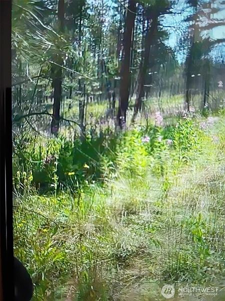 4th image of 111 TBD J H Green RD