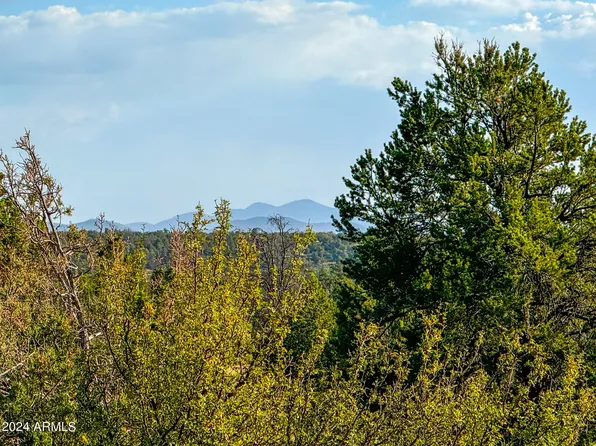 8291 RED BUTTE Road #216, Williams, AZ 86046