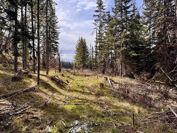3rd image of Harris Ridge Rd