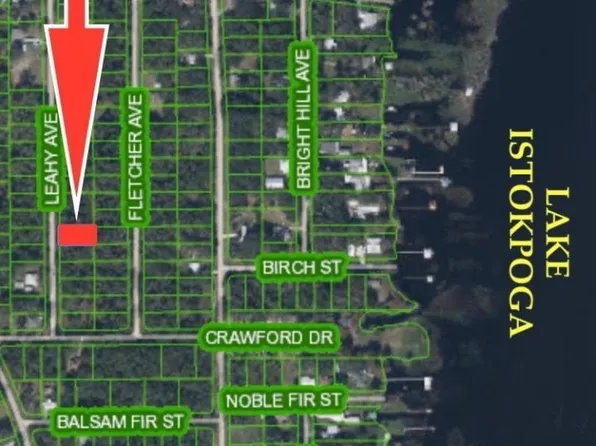 437 Leahy Ave, Lake Placid, FL 33852