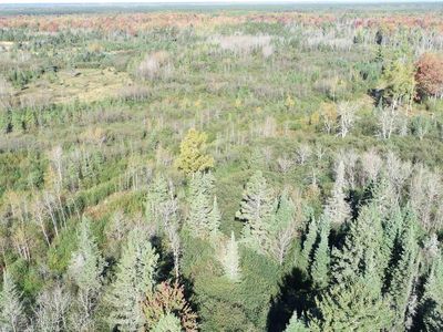 Squaw Creek Rd, Rapid River, MI, 49878