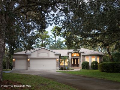 15411 Vanessa Ln, Brooksville, FL, 34604