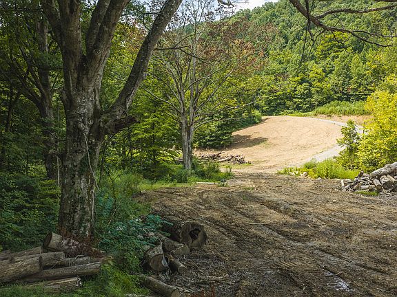 3rd image of 0 Snake Hollow Rd #162.33
