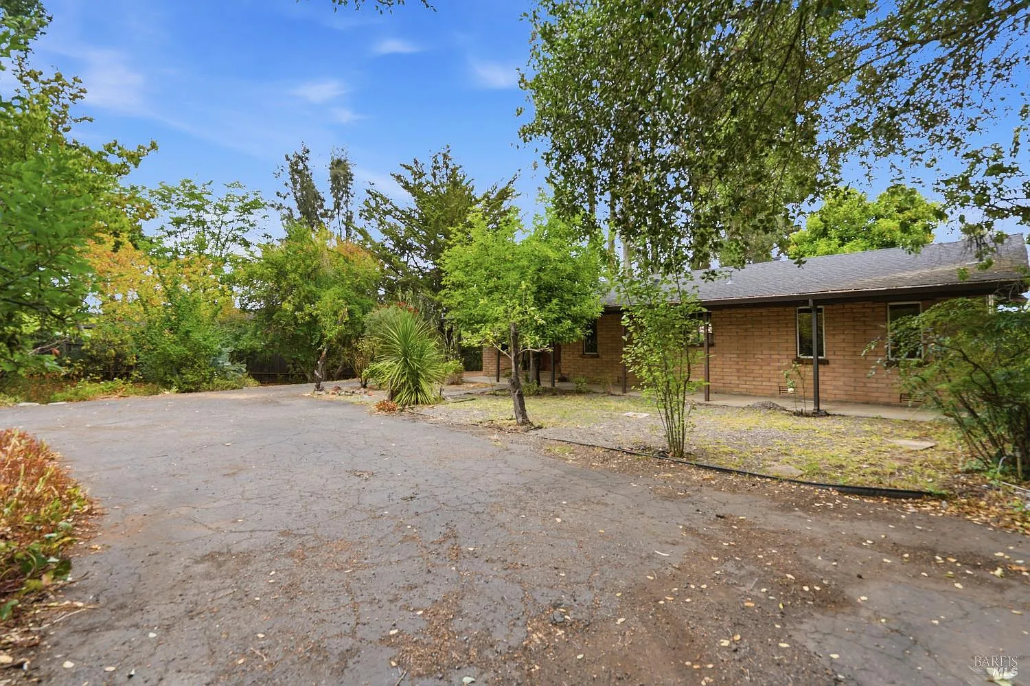 19229 Orange Avenue - Photo 3
