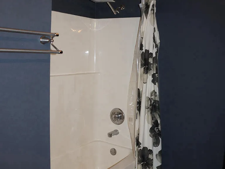 Master bathtub with rain shower head