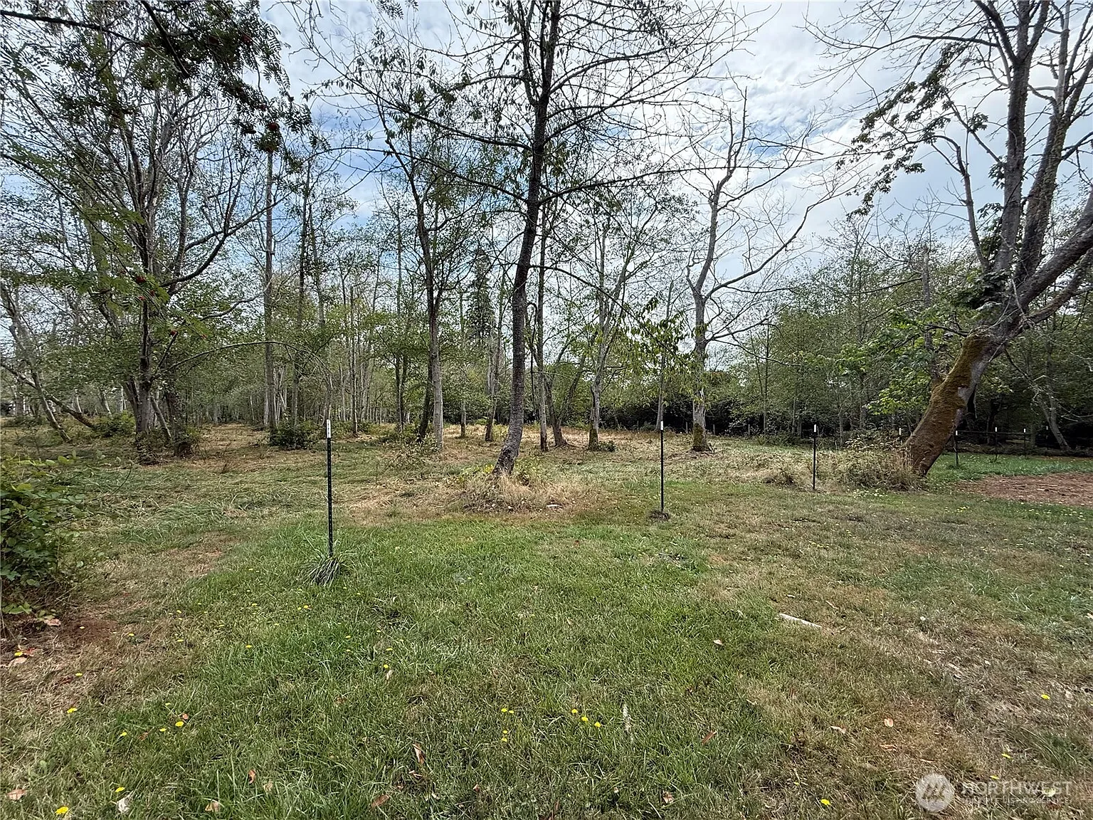 223 xx Melchert Way SW photo 1