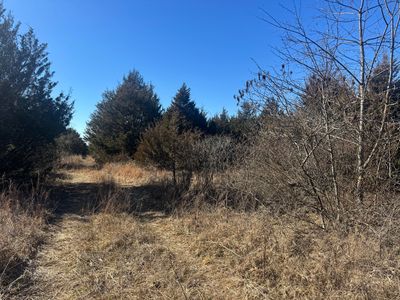 000 Dade 131, Arcola, MO, 65603