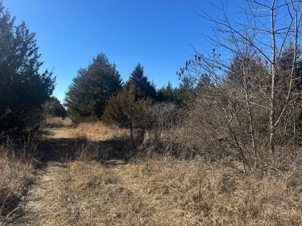 000 Dade 131, Arcola, MO 65603