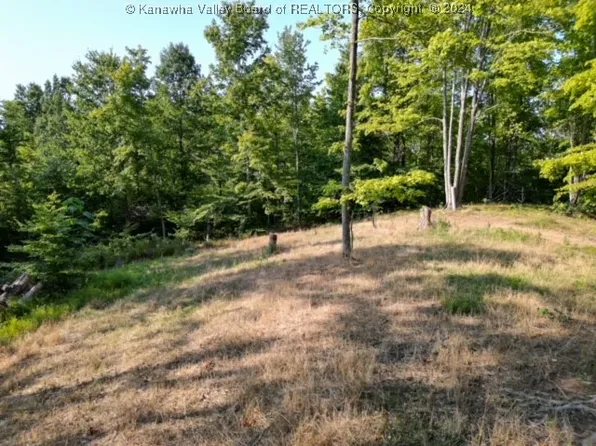 0 Lycans Branch Rd, Ona, WV 25545