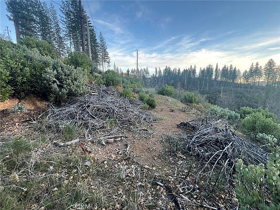 3rd image of 16790 Starview Loop Rd