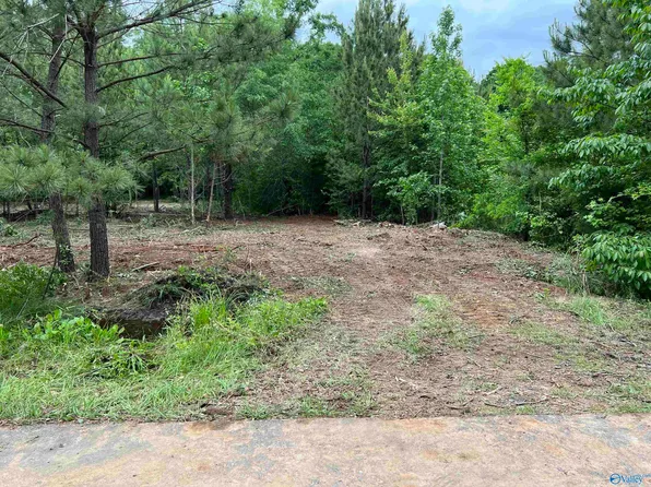 113 Whitfield Dr, Toney, AL 35773