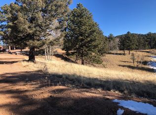 122 Junction Cir, Florissant, CO 80816