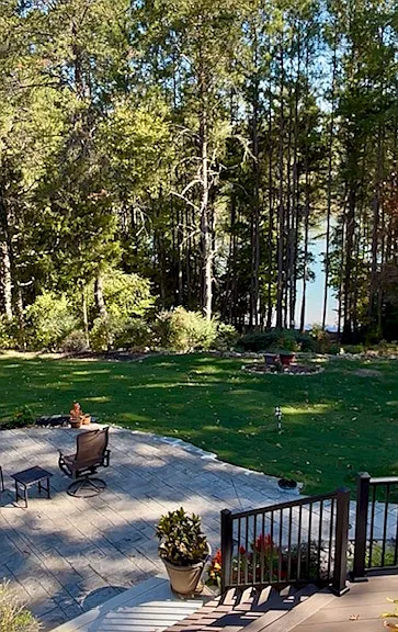 Another backyard viewpoint
