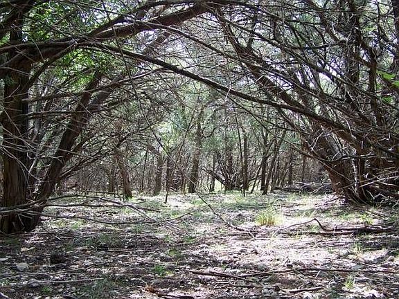 Interior of Lot
