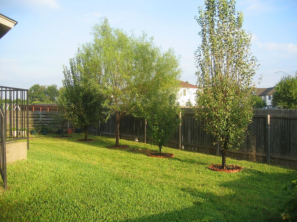 2nd image of 13004 Dionysus Dr
