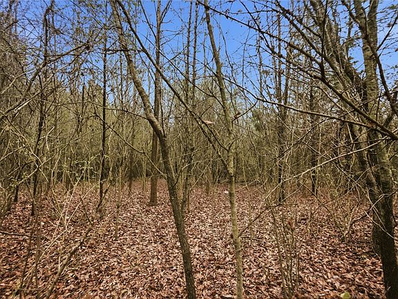 4th image of 0 Bell Rd