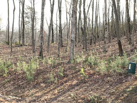 2nd image of 179 Trailwood Dr