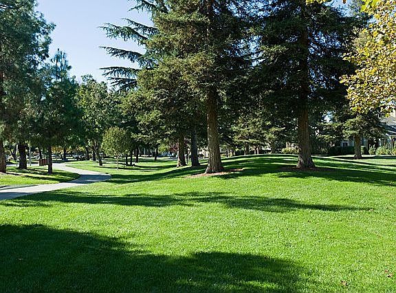 Short Walk to Park