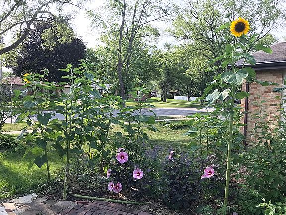 4th image of 605 Maywood Ln