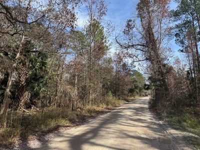 Undetermined Lot 4, Citra, FL, 32113