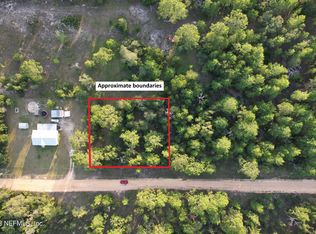 0 Violet Ave, Interlachen, FL 32148