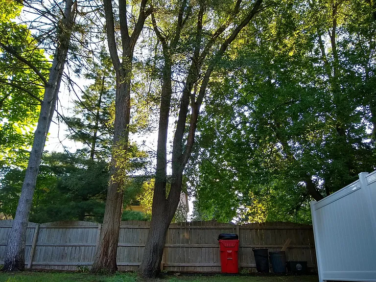 211 Hacker St #211 — Photo 9