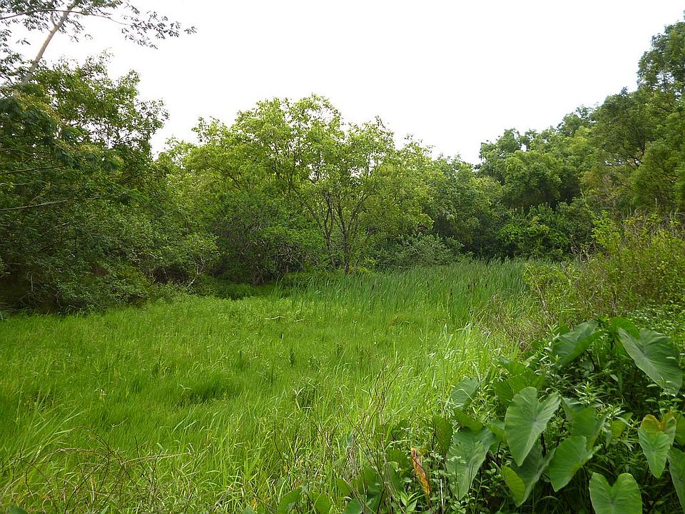 Valley withCreek at far edge