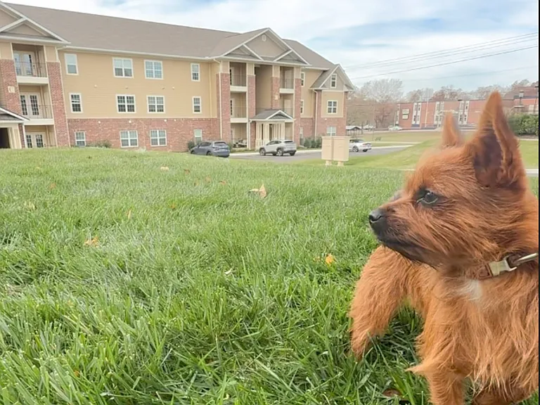 Pet friendly living at Quarry Run