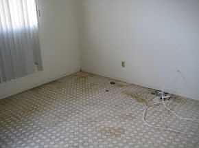 5th image of 10508 Appaloosa Pl #El