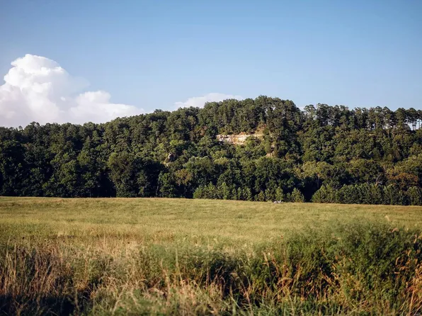 15910 Steam Hollow Dr, Licking, MO 65542