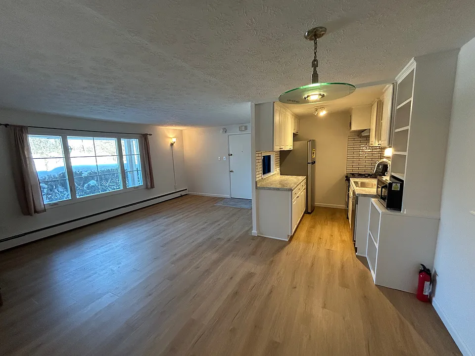 Front entrance with living area and kitchen.