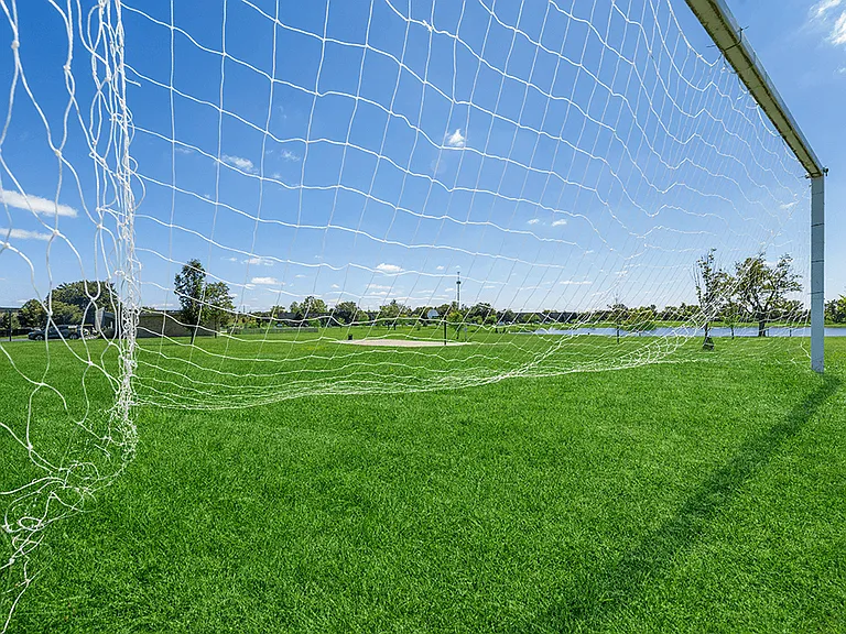 Soccer Field with Goals