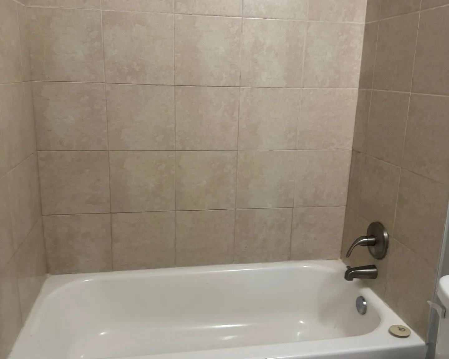 1 bed, $1,100 — Photo 4
