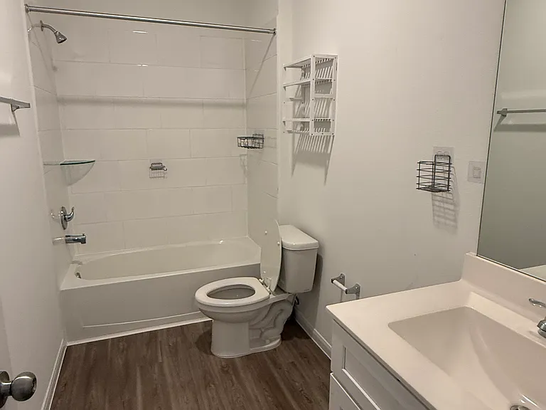 26334 Cedar Sedge Dr — Photo 24