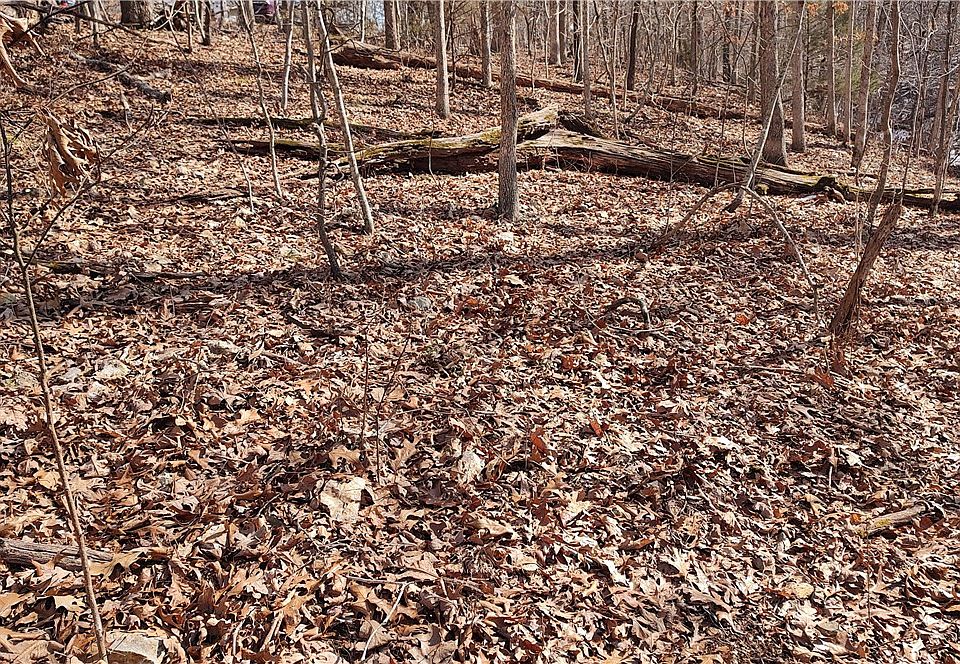 2nd image of 11 Donington Ln #9