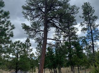 2962 Coyote Rdg, Happy Jack, AZ 86024