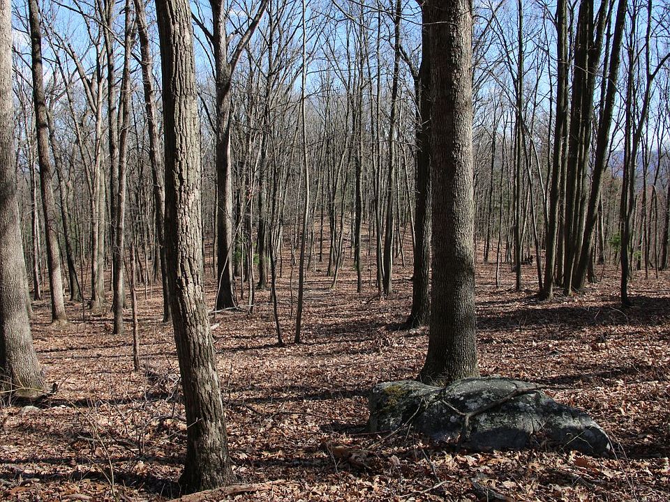 1st image of 564 Jesse Ln Lot Wp001