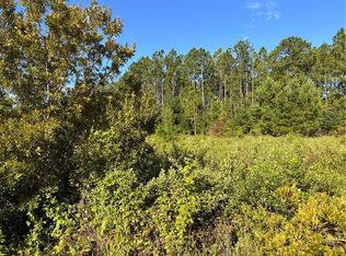 0 Horseshoe Cove Rd, Waverly, GA 31565