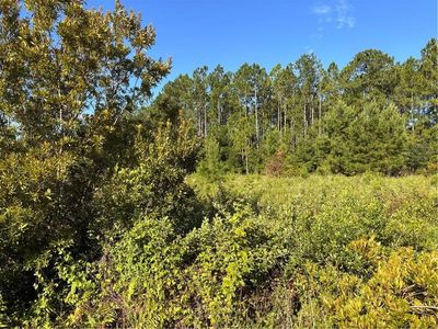 0 Horseshoe Cove Rd, Waverly, GA, 31565