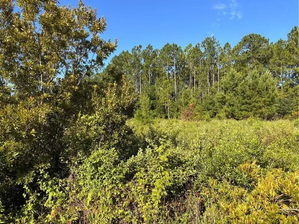 0 Horseshoe Cove Rd, Waverly, GA 31565