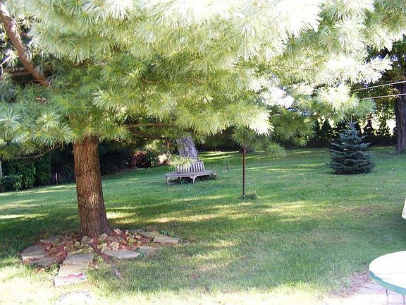 mature trees, green green lawn, perfect for family and pets
