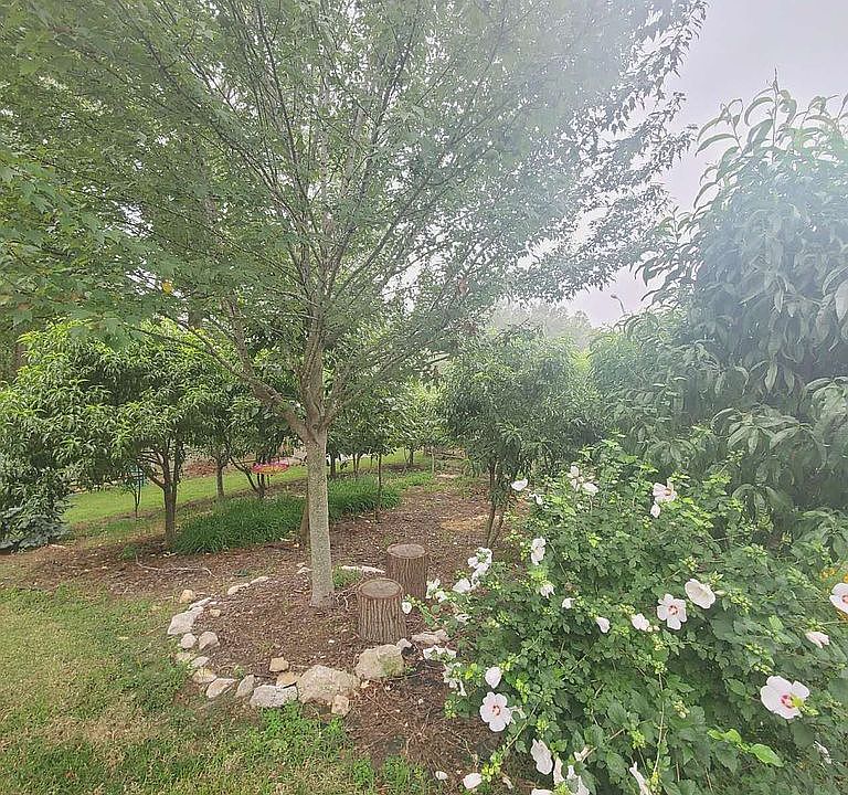 2nd image of 2501 Corona Rd