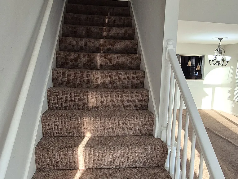 10508 Bay Pointe Ct — Photo 14