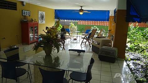 DSC00970