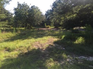 60 McDaniels Fishcamp Rd, Freeport, FL 32439