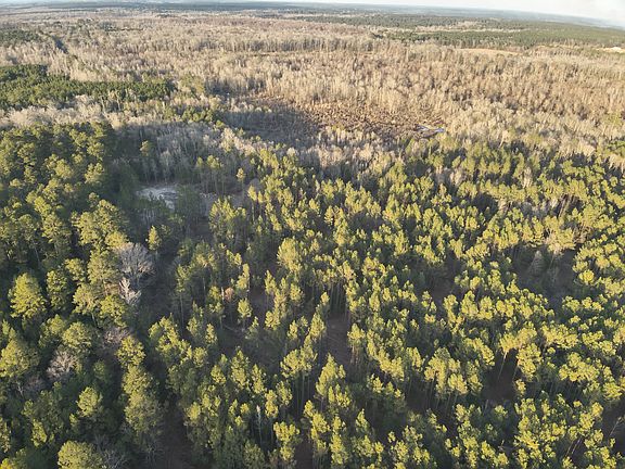 5th image of Half Mile Northeast Of McCorvey Loop Rd
