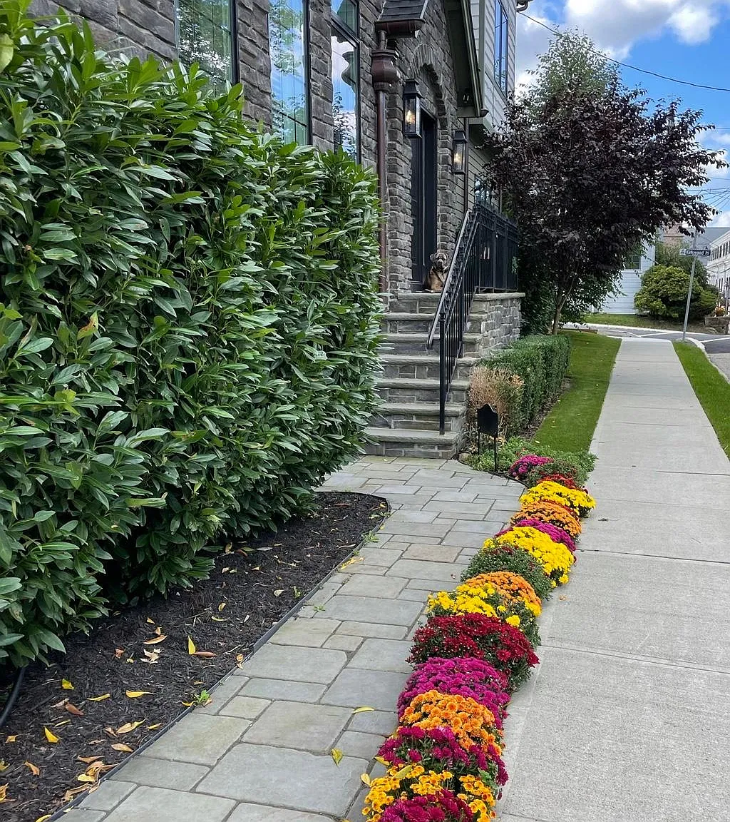 21 Kirkwood Pl — Photo 3