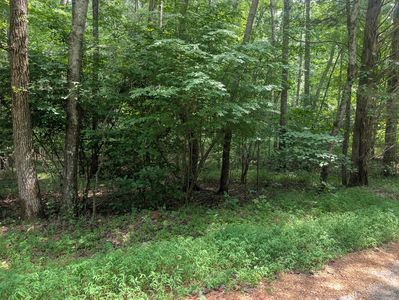 436 & 437 Kurtz Dr, Murray, KY, 42071