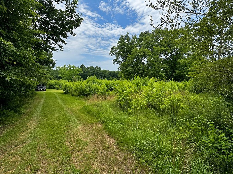 2nd image of Lincoln Ln